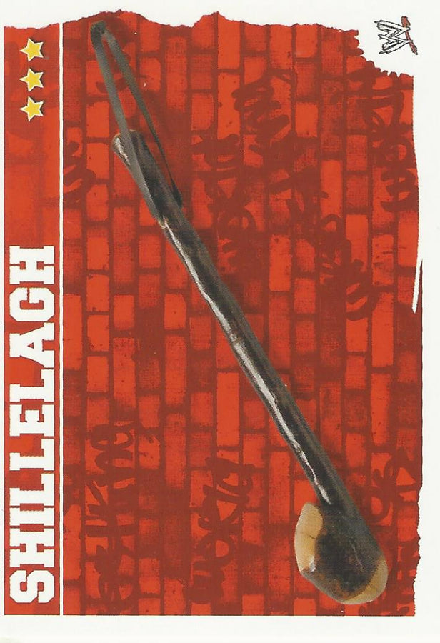 WWE Topps Slam Attax Mayhem 2010 #194