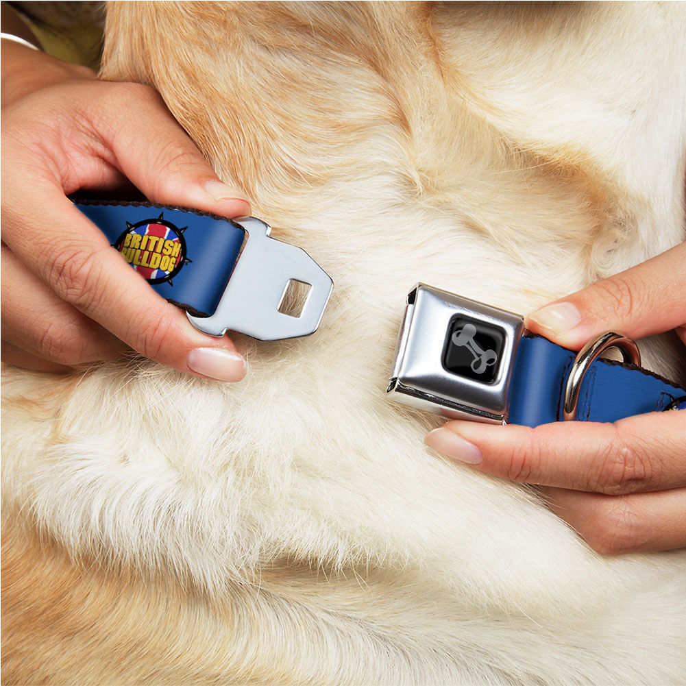 British Bulldog Dog Collar 2