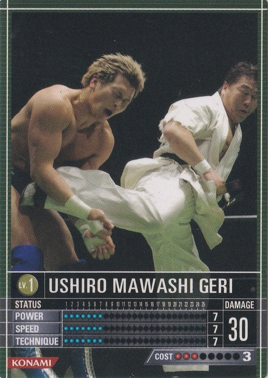 Ushiro Mawashi Geri