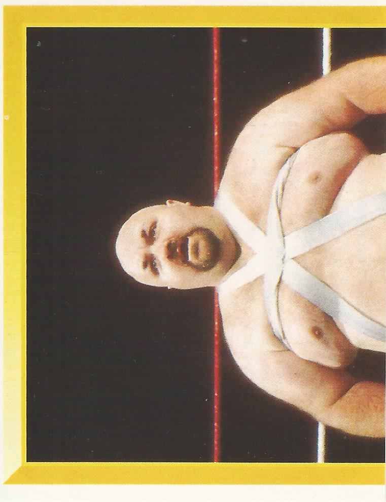 WWF Merlin Sticker 1994 Bastion Booger #196