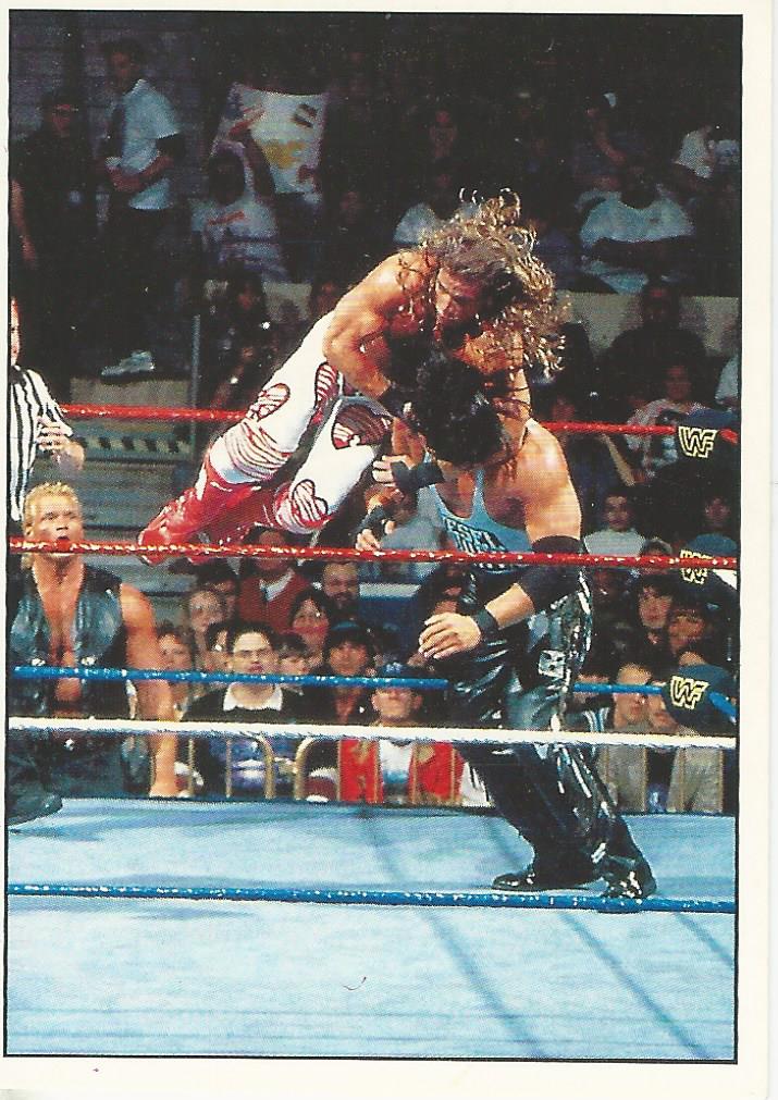 WWF Panini 1995 Sticker Collection Shawn Michaels #197