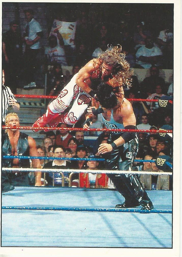 WWF Panini 1995 Sticker Collection Shawn Michaels #197