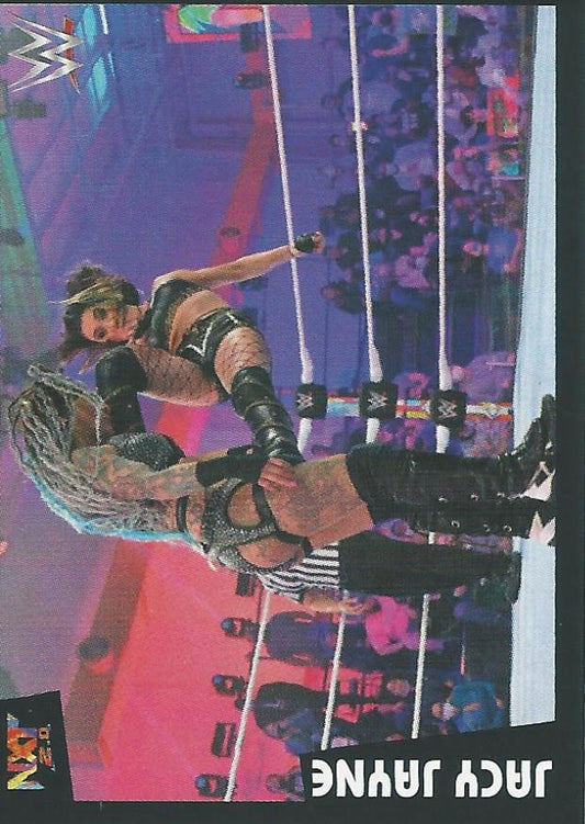WWE Panini 2022 Sticker Collection Jacy Jayne #197