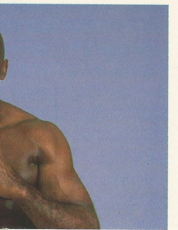 WWF Merlin Stickers 1992 Virgil #197
