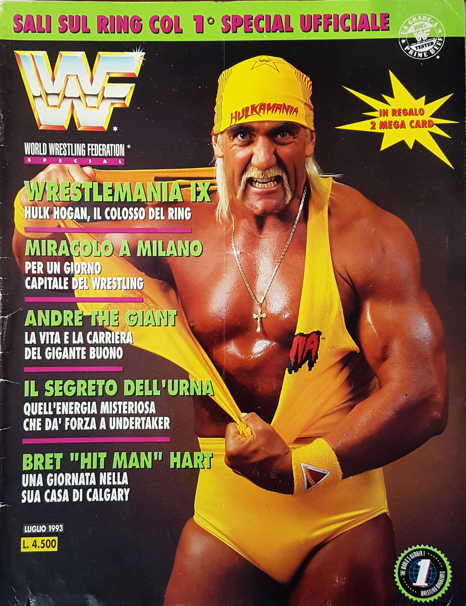 WWF Magazine from Italy May 1993 Magazine PWcatalog