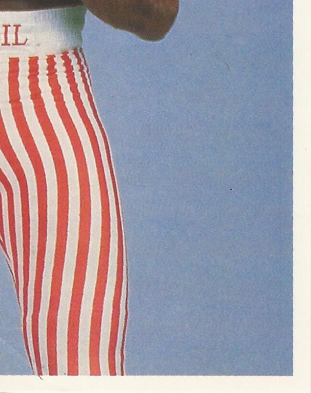 WWF Merlin Stickers 1992 Virgil #199