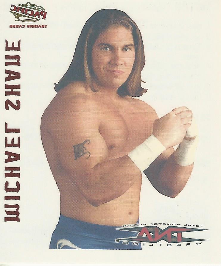 TNA Pacific Tattoo Transfer Michael Shane #19