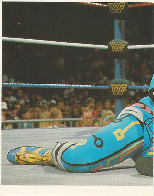 WWF Merlin Stickers 1992 Max Moon #19