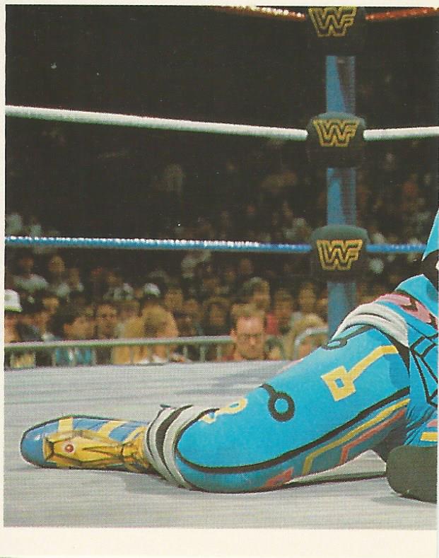 WWF Merlin Stickers 1992 Max Moon #19