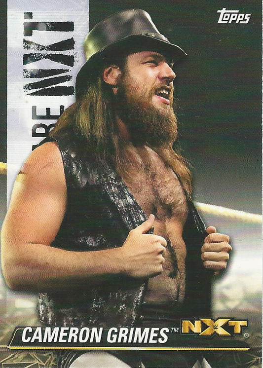 WWE Topps NXT 2021 Cameron Grimes NXT-7 trading card PW Catalog