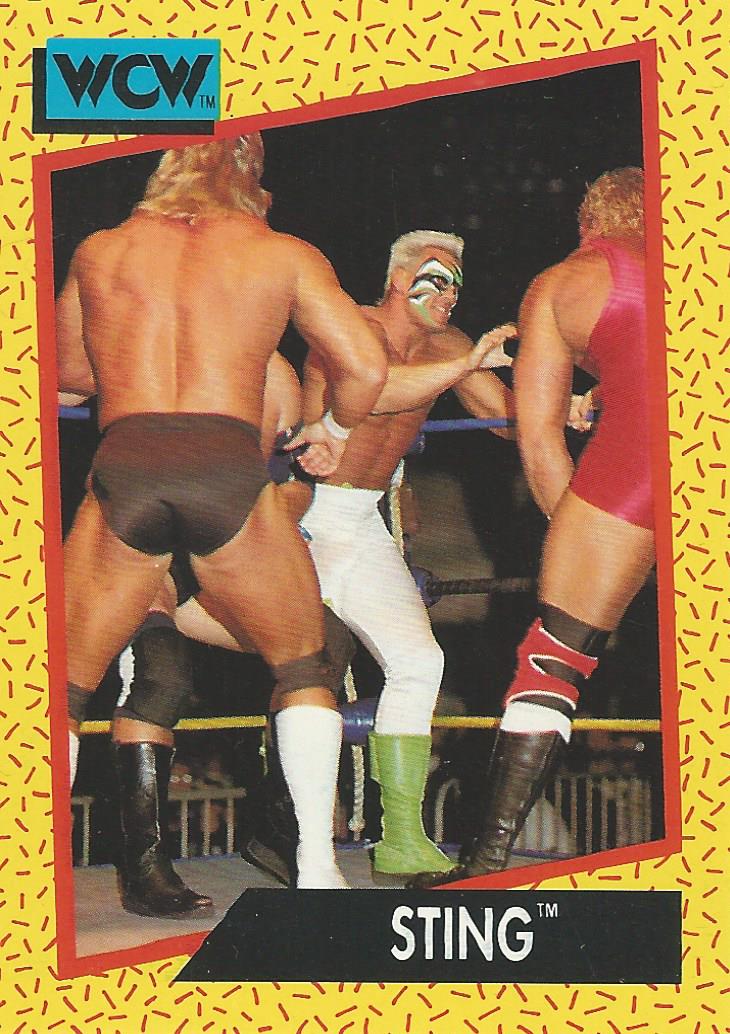 WCW Impel 1991 Sting #1