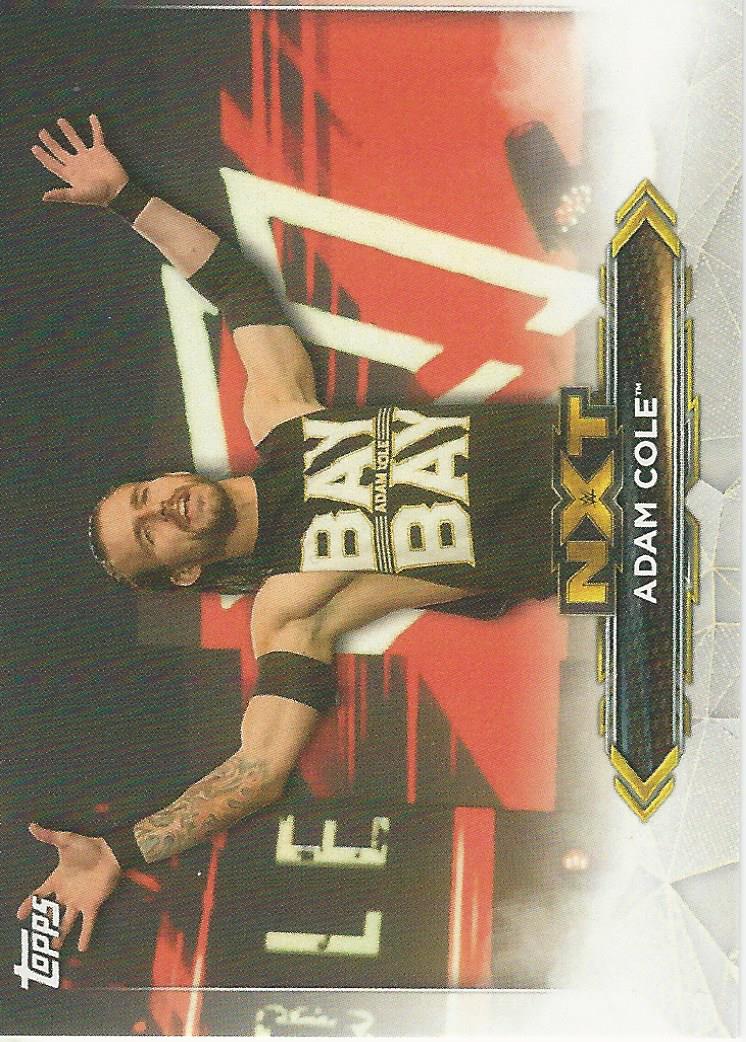 WWE Topps NXT 2020 Adam Cole #1