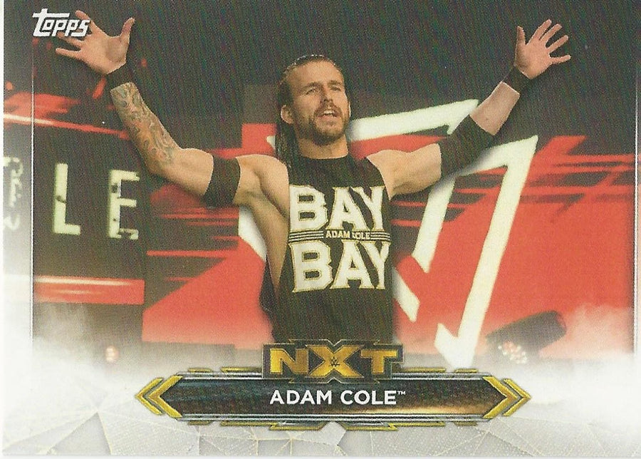 WWE Topps NXT 2020 Adam Cole #1