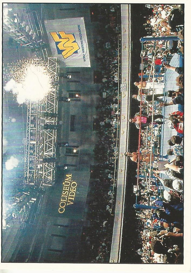 WWF Panini 1995 Sticker Collection Crowd #1