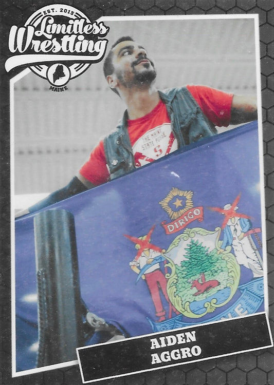 Aiden Aggro trading card PW Catalog