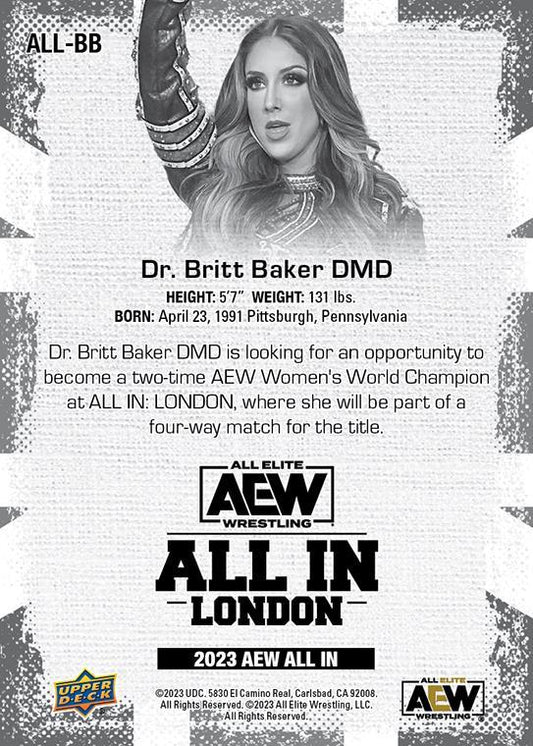 DR. Britt Baker DMD - image 2