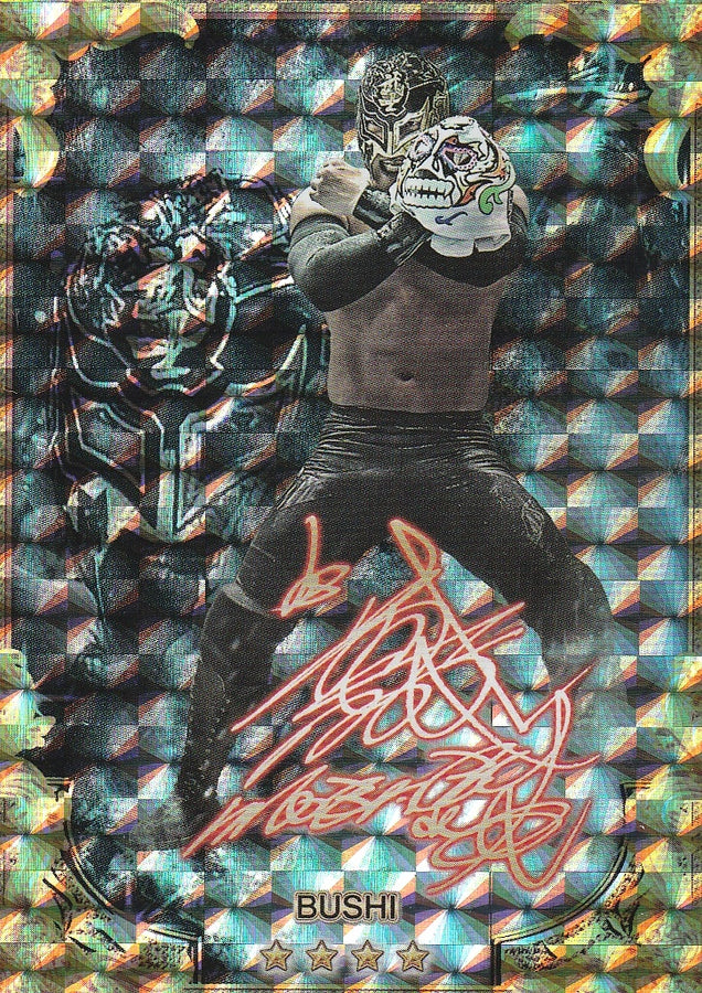 Bushi trading card PW Catalog