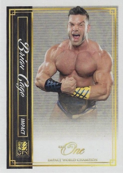 Brian Cage – Impact World Champion