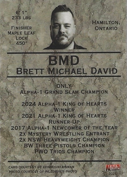 Brett Michael David – Grand Slam Champion
