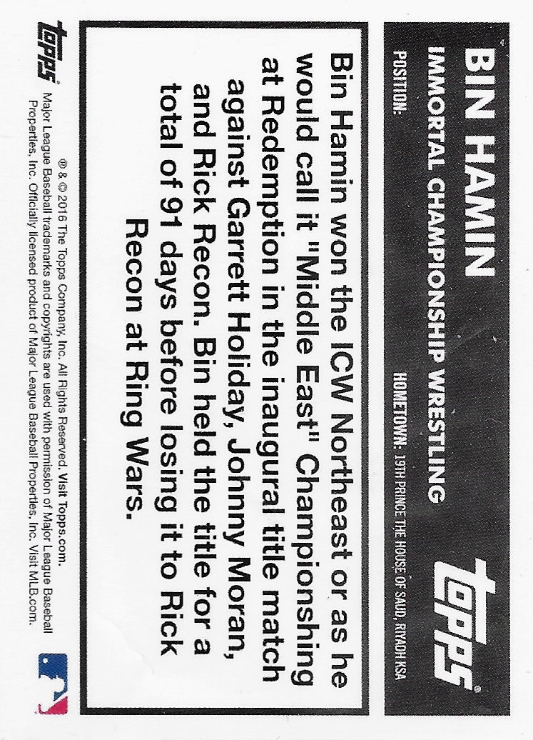 BIN Hamin