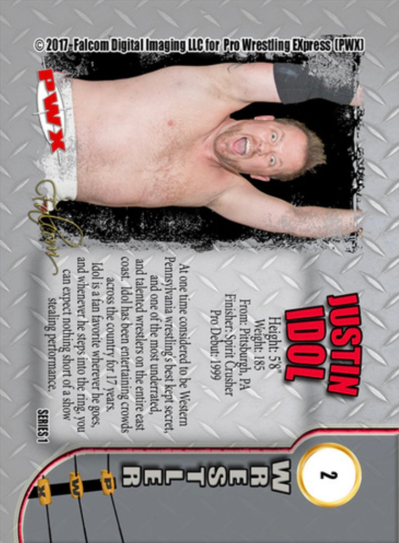 Justin Idol trading card PW Catalog
