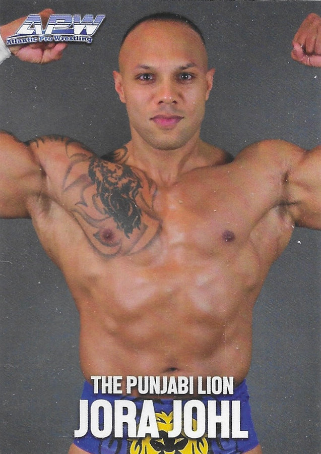 The Punjabi Lion Jora Johl