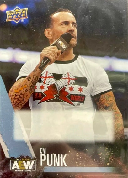 CM Punk