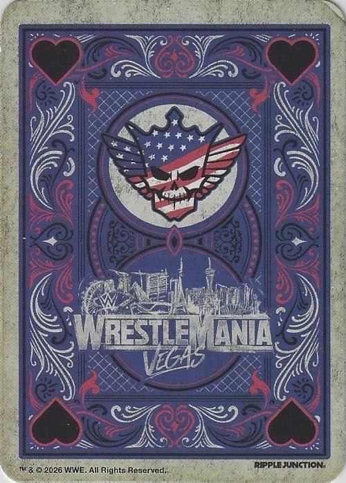 Cody Rhodes - image 2