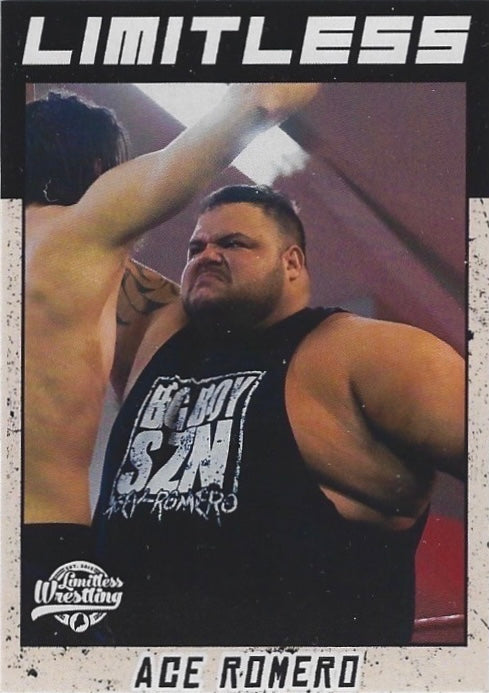 ACE Romero trading card PW Catalog