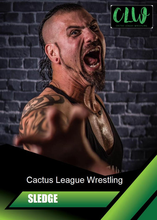 Sledge trading card PW Catalog