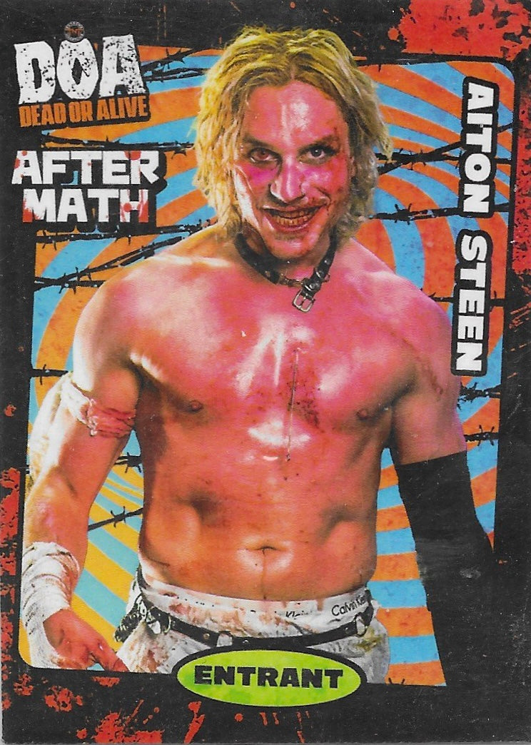 Aiton Steen – Aftermath