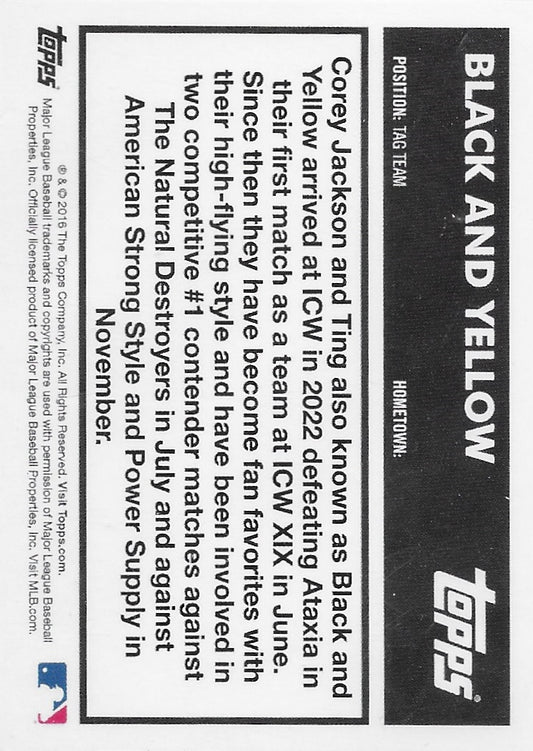 Black and Yellow trading card PW Catalog