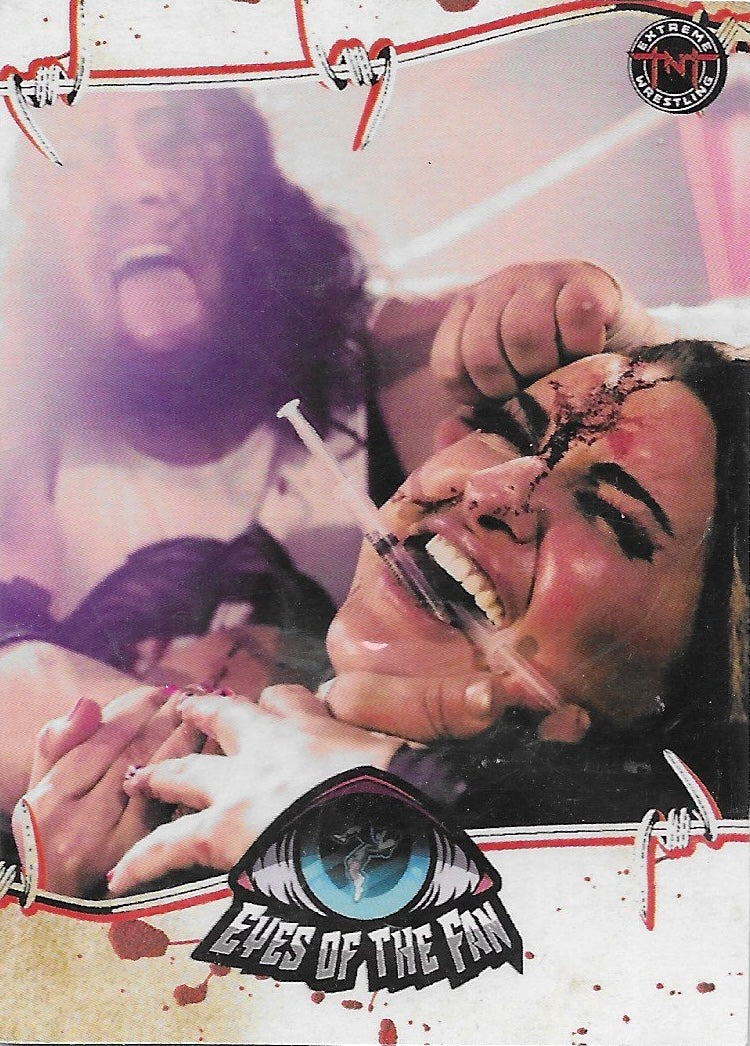 Eyes of the Fan trading card PW Catalog
