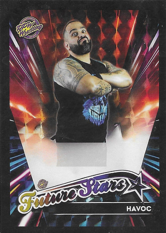 Havoc trading card PW Catalog