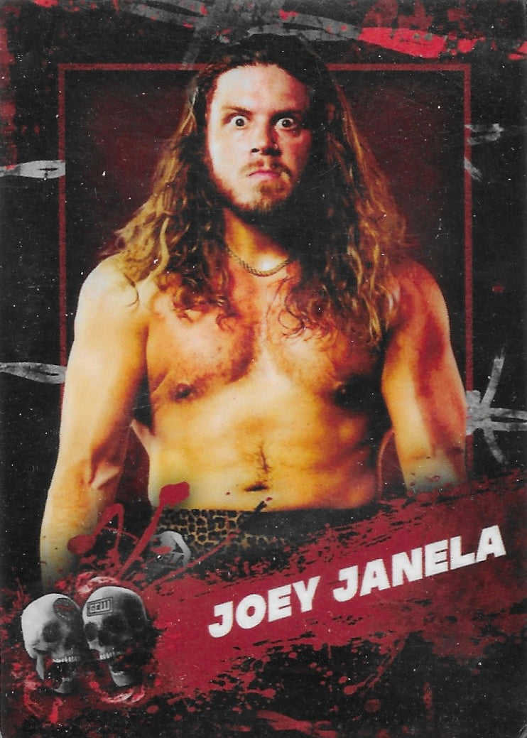 Joey Janela trading card PW Catalog