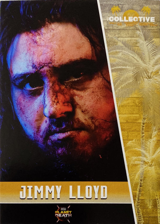 “Different Boy” Jimmy Lloyd trading card PW Catalog