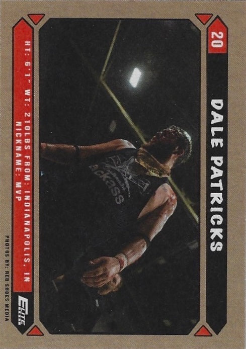 Dale Patricks - image 2
