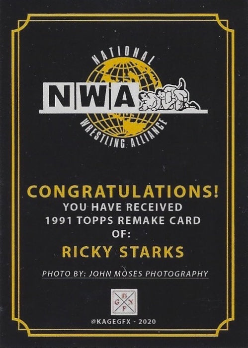 Ricky Starks NWA World Television Champion trading card PW Catalog