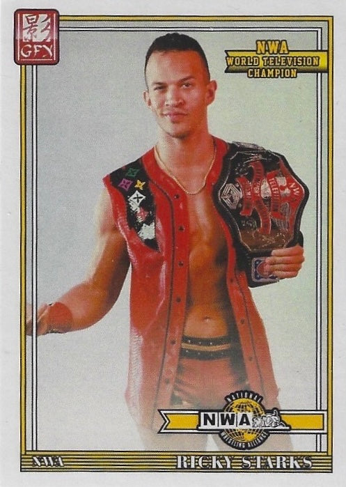 Ricky Starks NWA World Television Champion trading card PW Catalog
