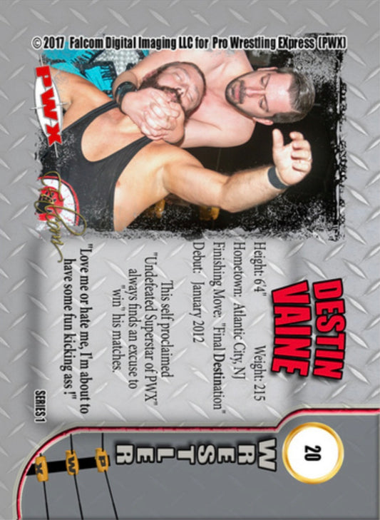Destin Vaine trading card PW Catalog