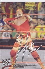 Hulk Hogan WWF Ice Cream Cut-out 2006 Good Humor - image 2