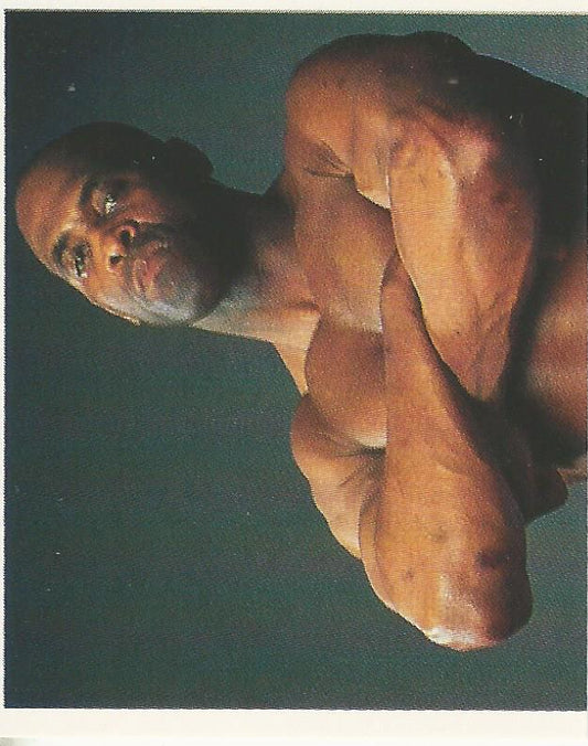 WWF Merlin Stickers 1991 Virgil #200