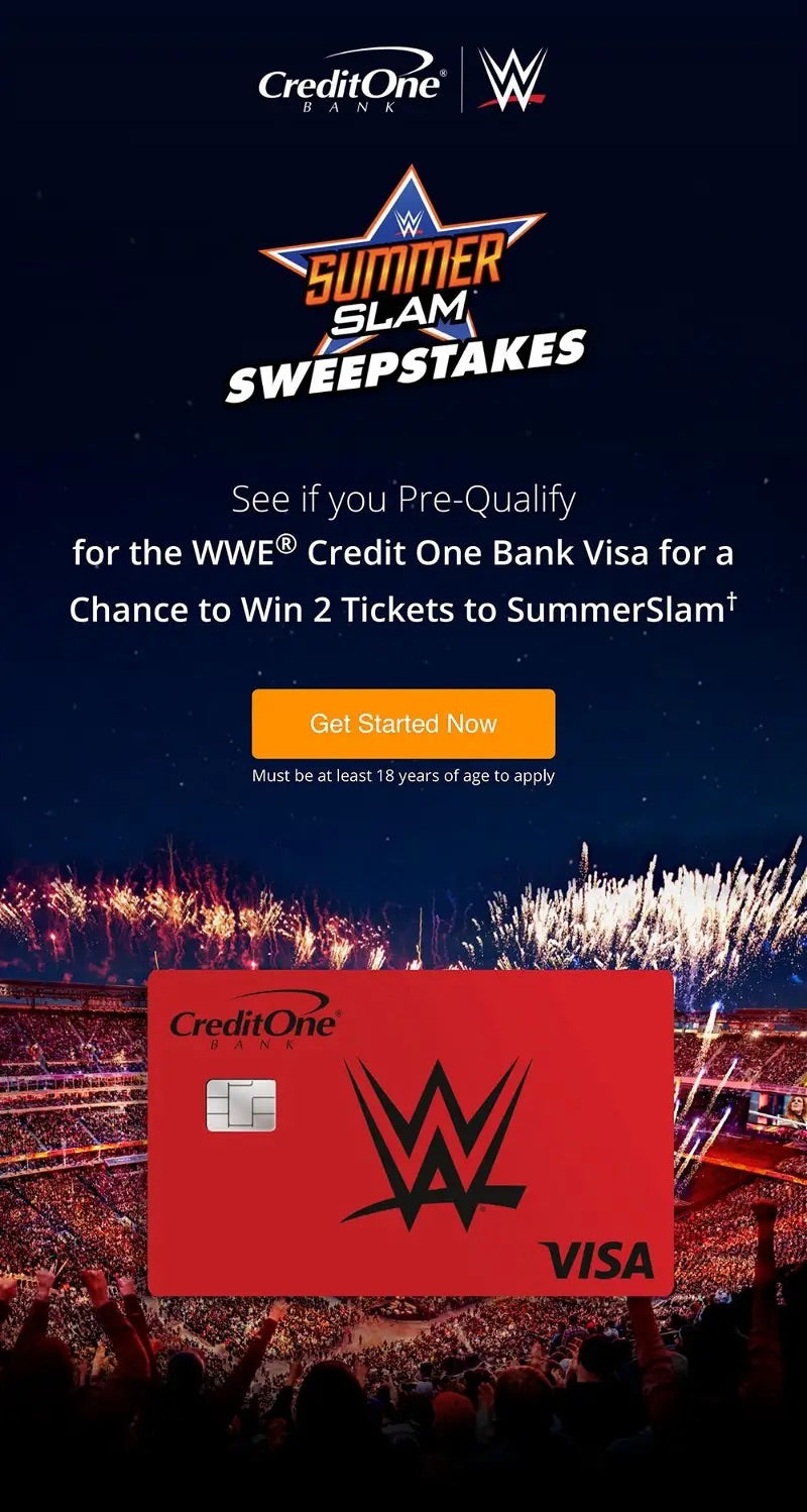 WWE Champion Pink