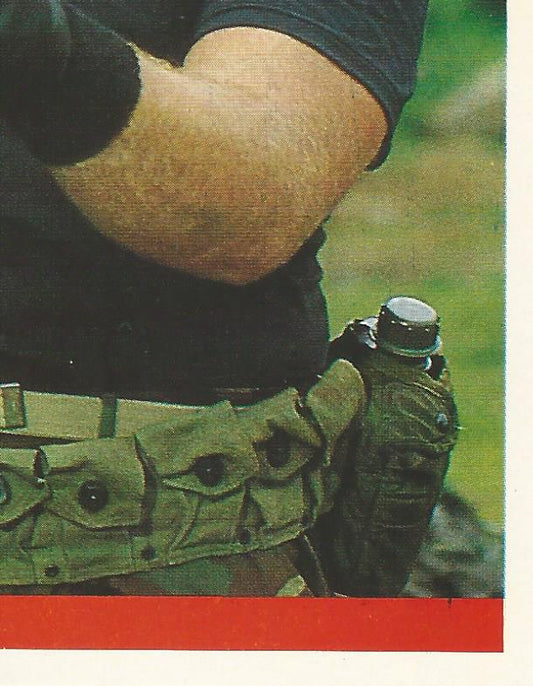 WWF Merlin Sticker Collection 1990 SGT Slaughter #202