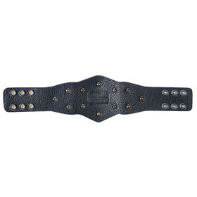 NXT Tag Team Championship Mini Replica Title Belt