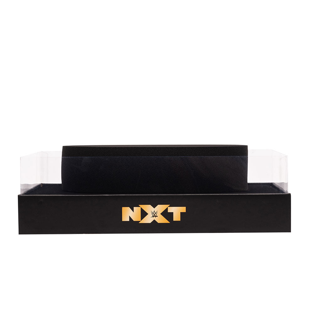 NXT Championship Title Display Stand 5