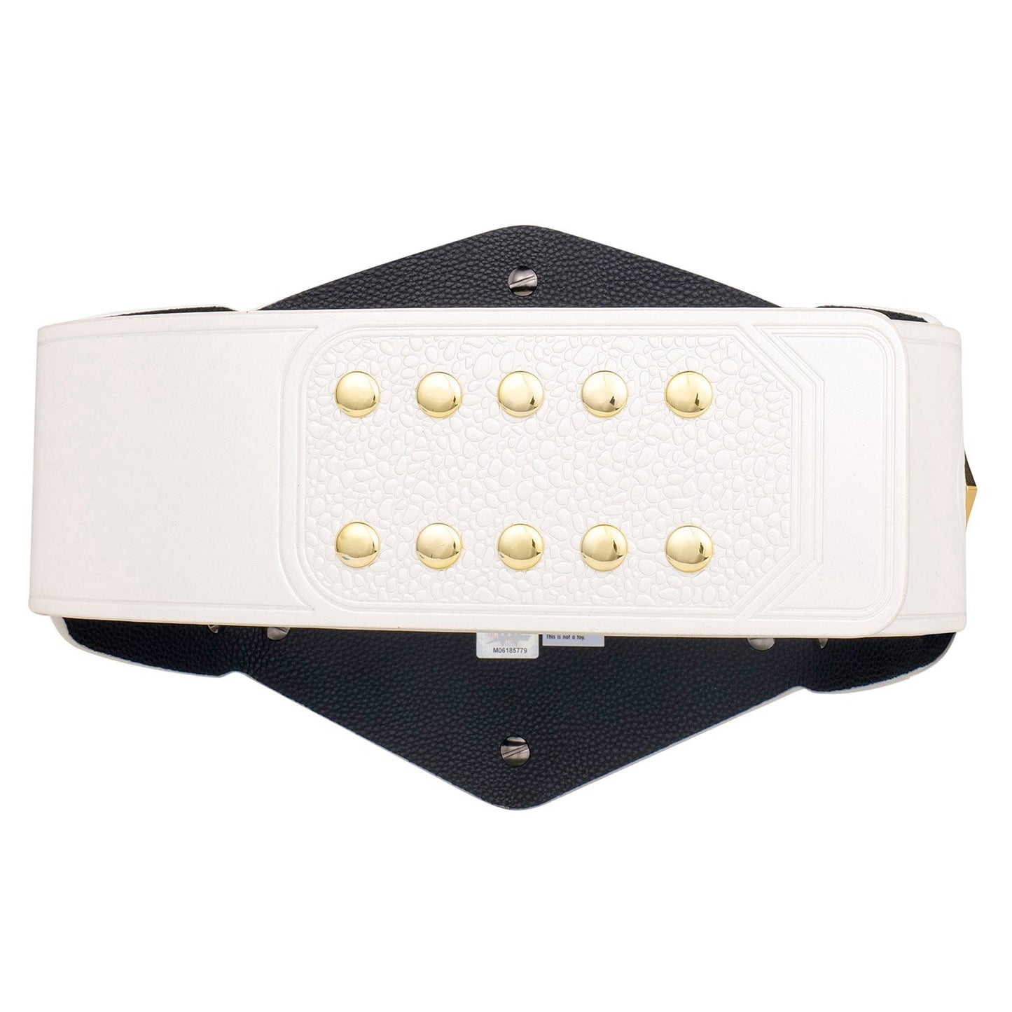 NXT Women's Tag Team Championship Replica Title