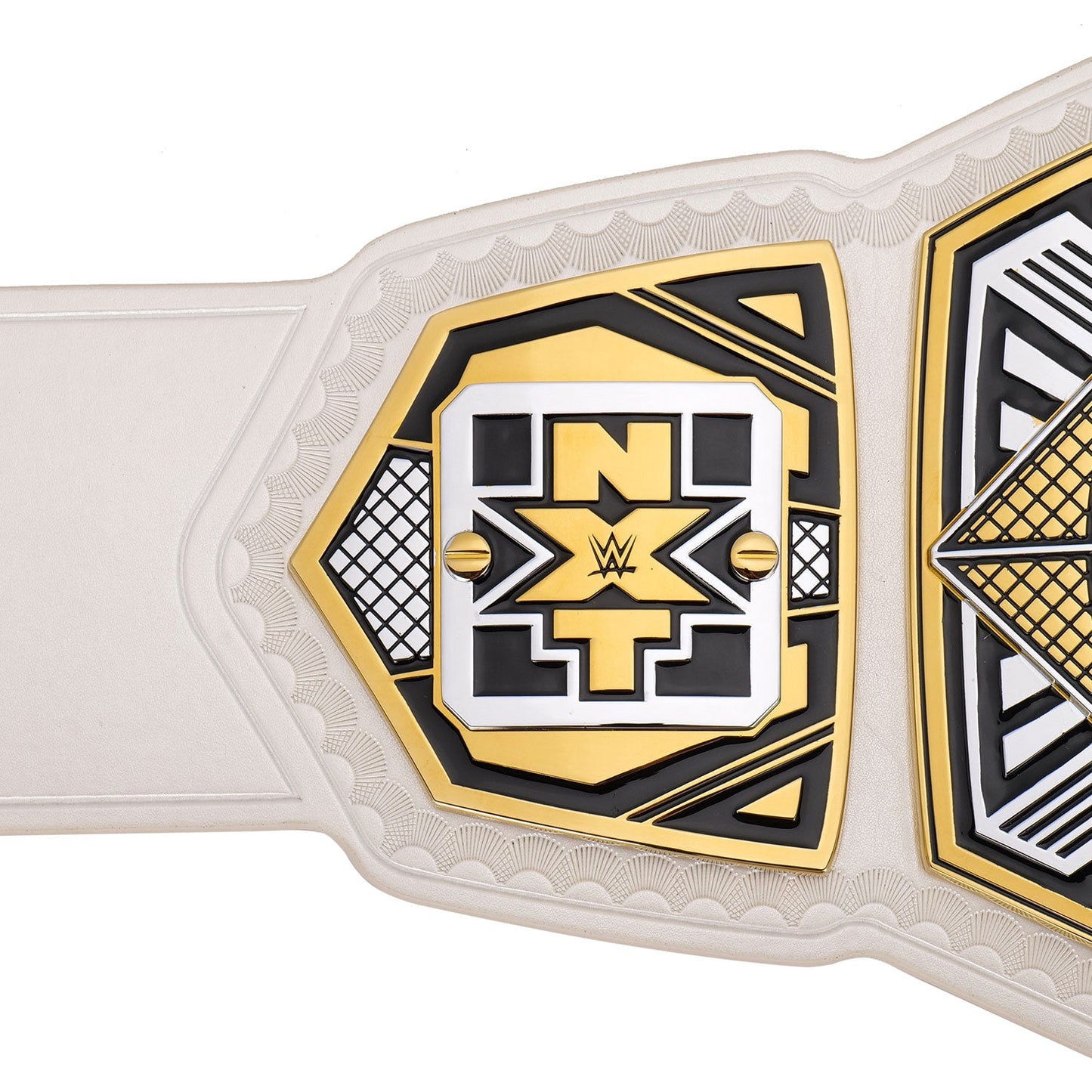 NXT Women's Tag Team Championship Replica Title