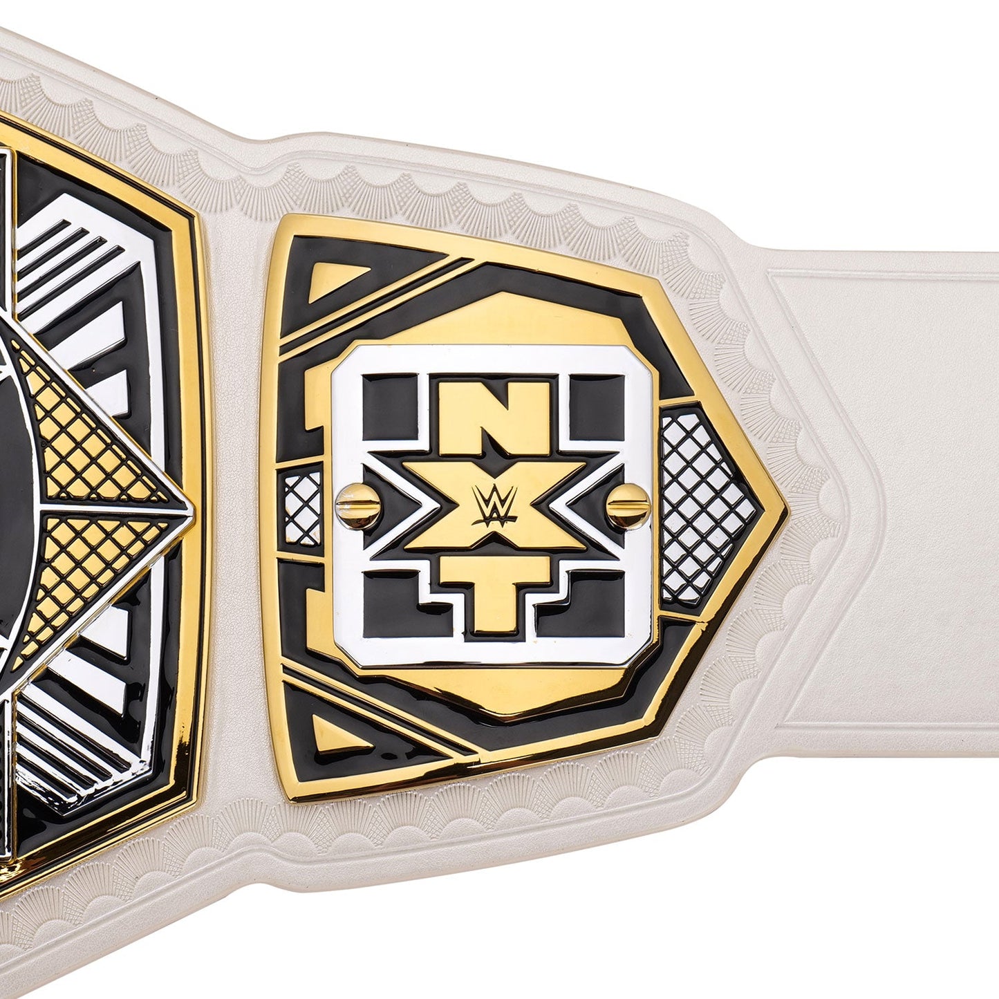 NXT Women's Tag Team Championship Replica Title