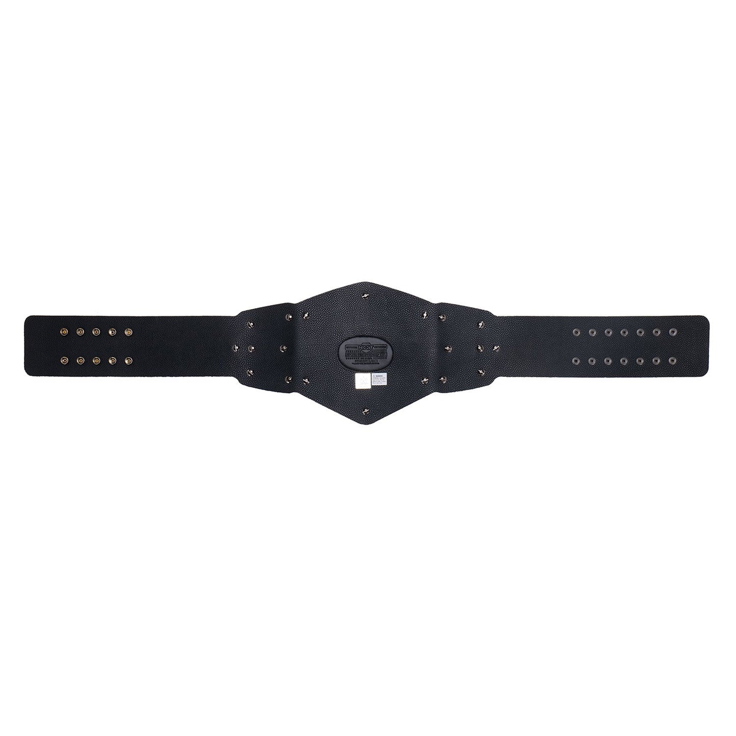 NXT Women's Tag Team Championship Replica Title